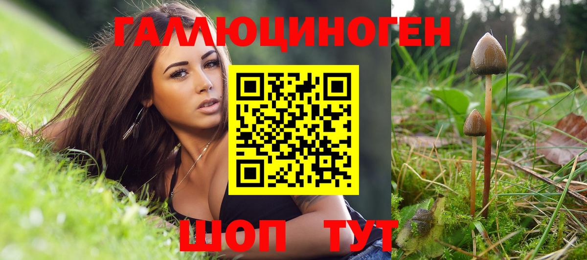 наркошоп  Псилоцибиновые грибы Psilocybine cubensis  Вход с VPN  Михайловск 