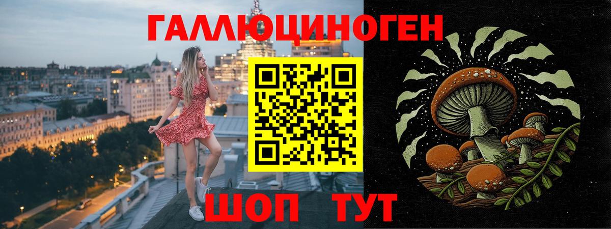 Псилоцибиновые грибы Psilocybe Михайловск
